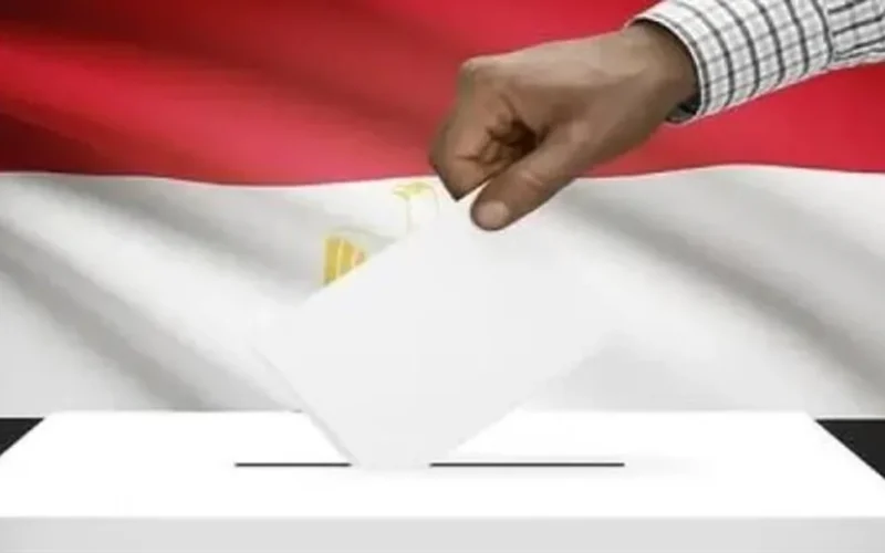 كيف تضمن لجنة الانتخابات إدلاء صوت سلس بالرقم القومي في انتخابات 2025؟